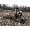 Image 3 : ITALIAN SAFARIS SRL 2-Day Wild Boar Hunt in Italy for 2 Hunters and 2 Non-Hunters