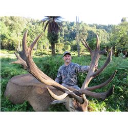 KURANUI NEW ZEALAND HUNTING 5-Day Hunt for Rusa Stag & Red Stag in New Zealand for 2 People