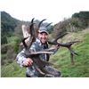 Image 2 : KURANUI NEW ZEALAND HUNTING 5-Day Hunt for Rusa Stag & Red Stag in New Zealand for 2 People