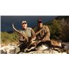 Image 1 : SALVA MONFORTE-SPAIN HUNTING IBEX 3-Day Hunt in Spain for Beceite Ibex for 2 Hunters