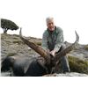 Image 5 : SALVA MONFORTE-SPAIN HUNTING IBEX 3-Day Hunt in Spain for Beceite Ibex for 2 Hunters