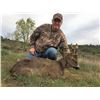 Image 5 : HUNT TRIP SPAIN 4-Day Hunt for Roe Deer for 1 hunter and 1 Observer in Spain