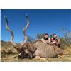 Image 1 : LALAPA SAFARIS 7-Day Hunt for Eastern Cape Kudu, Mountain Reed Buck, Cape Spring Buck for 1 hunter a