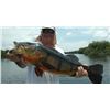 Image 1 : ACUTE ANGLING 7-Day Amazon Fishing Trip for 1 Angler