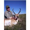 Image 4 : KIOWA HUNTING SERVICE 3-Day Pronghorn Antelope Hunt in New Mexico