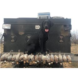 HIDDEN LAKES HUNTING RESORT 2-Day Texas Bird Hunt