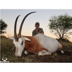 RECORDBUCK RANCH 3-Day Scimitar Horned Oryx Hunt for 1 Hunter and 1 Non-Hunter Hunt in the Texas Hil