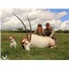 Image 2 : RECORDBUCK RANCH 3-Day Scimitar Horned Oryx Hunt for 1 Hunter and 1 Non-Hunter Hunt in the Texas Hil