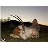 Image 3 : RECORDBUCK RANCH 3-Day Scimitar Horned Oryx Hunt for 1 Hunter and 1 Non-Hunter Hunt in the Texas Hil