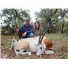 Image 4 : RECORDBUCK RANCH 3-Day Scimitar Horned Oryx Hunt for 1 Hunter and 1 Non-Hunter Hunt in the Texas Hil