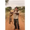 Image 3 : TOM DREYER SAFARIS 10-Day African Cat Hunt in Limpopo South Africa