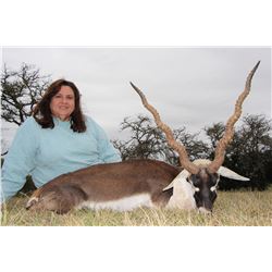 TEXAS HUNT LODGE 2-Day Hunt for Blackbuck Antelope for 1 Hunter and 1 Observer in Texas