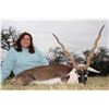 Image 1 : TEXAS HUNT LODGE 2-Day Hunt for Blackbuck Antelope for 1 Hunter and 1 Observer in Texas