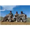 Image 3 : CAPE TO CAIRO SAFARIS 2 Hartman Zebras and 2 Burchell Zebras for 2 Hunters in Namibia