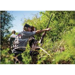 POINTER WINGSHOOTING ARGETNIA Bucket List! 4 Day Dove Hunt for 4 Hunters