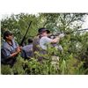 Image 2 : POINTER WINGSHOOTING ARGETNIA Bucket List! 4 Day Dove Hunt for 4 Hunters