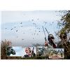 Image 5 : POINTER WINGSHOOTING ARGETNIA Bucket List! 4 Day Dove Hunt for 4 Hunters