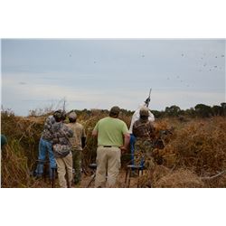 MILES AND MILES OUTFITERS 4 Day High Volume Dove Hunt in Argentina for 10 Hunters