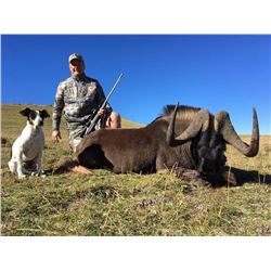 SOUTHERN CROSS SAFARIS 10 Day trip for 1 or 2 hunters for (7) animals in Eastern Cape South Africa