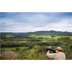 ARGENTINA PUELO EXPEDITIONS 3-Day Dove Hunt for 3 Hunters in Argentina