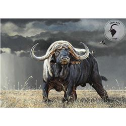 KWALATA SAFARIS $1,000 Trophy Fee Credit for a 10-Day South Africa Hunt for 1 Hunter