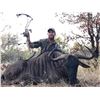 Image 5 : KWALATA SAFARIS $1,000 Trophy Fee Credit for a 10-Day South Africa Hunt for 1 Hunter