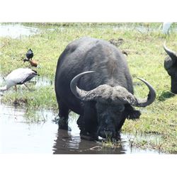 IC AFRICA 10 Days Exclusive Sightseeing Safari & Tour in South Africa