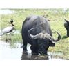 Image 1 : IC AFRICA 10 Days Exclusive Sightseeing Safari & Tour in South Africa