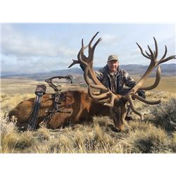 ALGAR SAFARIS Argentina Big Game hunt for 1 Hunter for 1 Red Stag up to 320 SCI