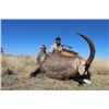 Image 3 : HUNTING SAFARIS SOUTH AFRICA 7-day 1:1 Roan hunt for 1 Hunter and 1 Non-Hunter in South Africa