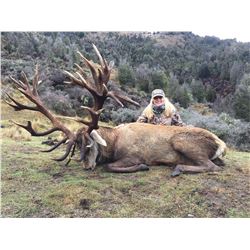 SPEY CREEK TROPHY HUNTING 5-Day Stag Hunt for 2 Hunters in New Zealand