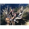 Image 2 : SPEY CREEK TROPHY HUNTING 5-Day Stag Hunt for 2 Hunters in New Zealand