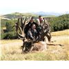 Image 3 : SPEY CREEK TROPHY HUNTING 5-Day Stag Hunt for 2 Hunters in New Zealand
