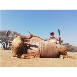 SADAKA SAFARIS 5-Day 2:1 Hunt for 2 Hunters for Sable, Golden Wildebeest, Kudu and Nyala in Limpopo