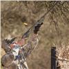 Image 3 : FRONTERA WINGSHOOTING 4-Day High Volume Dove Hunt for 4 Hunters in Cordoba, Argentina