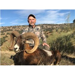 GREAT SPANISH HUNTS 3-Day Hunt for Iberian Mouflon Sheep in Spain for 2 People