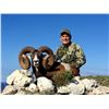 Image 3 : GREAT SPANISH HUNTS 3-Day Hunt for Iberian Mouflon Sheep in Spain for 2 People