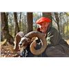 Image 7 : GREAT SPANISH HUNTS 3-Day Hunt for Iberian Mouflon Sheep in Spain for 2 People