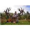 Image 1 : WILDERNESS QUEST NEW ZEALAND 6-Day Hunt for Red Stag plus a $1,500 credit torwards Tahr & Chamois in