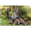 Image 2 : WILDERNESS QUEST NEW ZEALAND 6-Day Hunt for Red Stag plus a $1,500 credit torwards Tahr & Chamois in