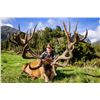 Image 7 : WILDERNESS QUEST NEW ZEALAND 6-Day Hunt for Red Stag plus a $1,500 credit torwards Tahr & Chamois in
