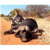 Image 3 : CHATTARONGA SAFARIS 14-Day Hunt for Leopard and Cape Buffalo for 1 Hunter in Zimbabwe
