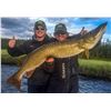 Image 2 : WOLLASTON LAKE LODGE 4-Day Fishing Trip for 2 Anglers in Saskatchewan, Canada