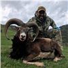 Image 1 : TROPHY HUNTING SPAIN 4-Day Hunt in Spain for Iberian Mouflon Sheep for 1 Hunter and 1 Non-Hunter