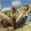 Image 5 : TROPHY HUNTING SPAIN 4-Day Hunt in Spain for Iberian Mouflon Sheep for 1 Hunter and 1 Non-Hunter