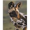 15G  FOUCHE STUDIOS The Painted Pup by Leon Fouche