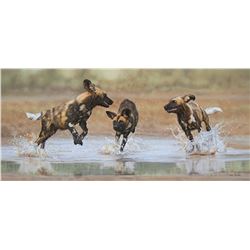 FOUCHE STUDIOS "A Summer's Play" by Leon Fouche