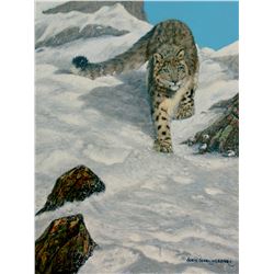 CALL OF AFRICA/NATIVE VISIONS "Queen of the Mountain" by 2019 HSCF Artist of the Year Suzie Seery-Le