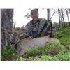 Image 2 : 5 - Day Hunt for 2 - HUNTERS (Includes 1 roe deer per hunter) or Value ($3,000) to hunt any other Tr