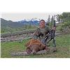 Image 2 : 5 - DAY RIFLE OR ARCHERY HUNT FOR BEAR IN MONTANA SPRING SEASON